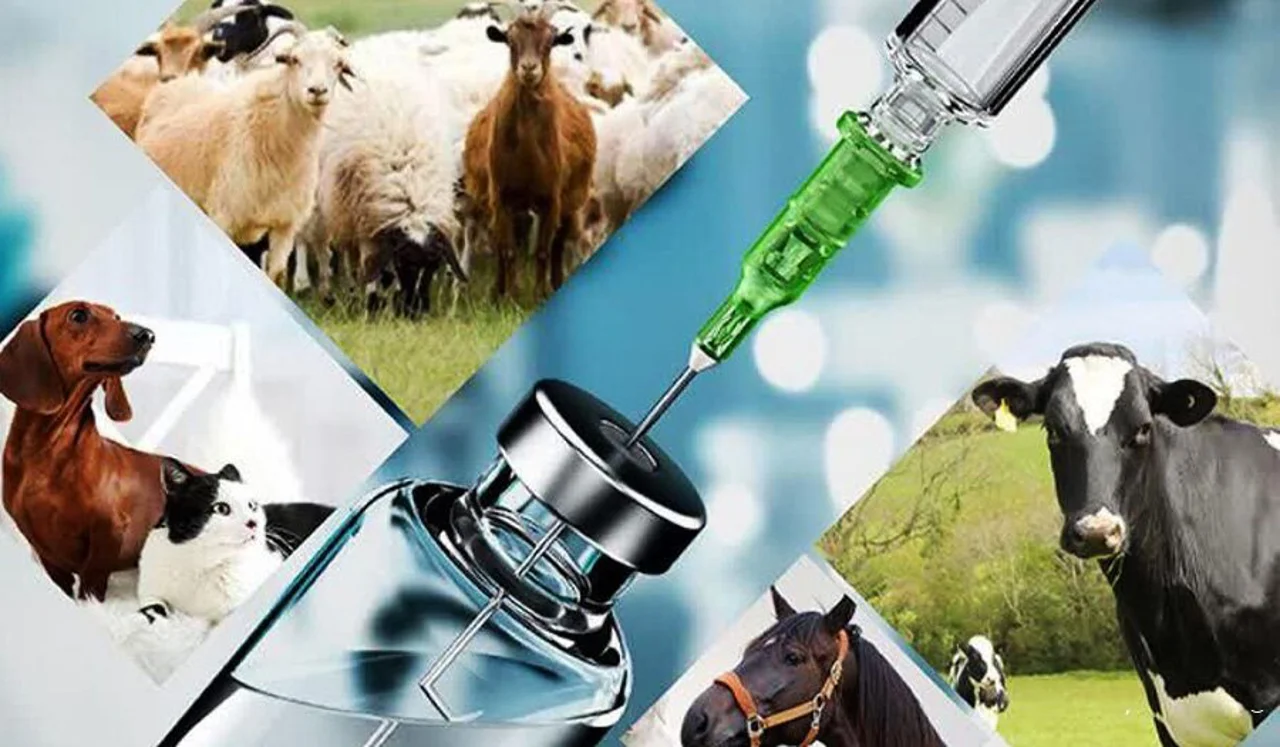 تعرفه‌های خدمات درمانی دامپزشکی بخش غیردولتی سال ۱۴۰۵ [ + دانلود فایل]