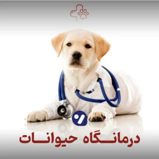 کلینیک « پرشین »