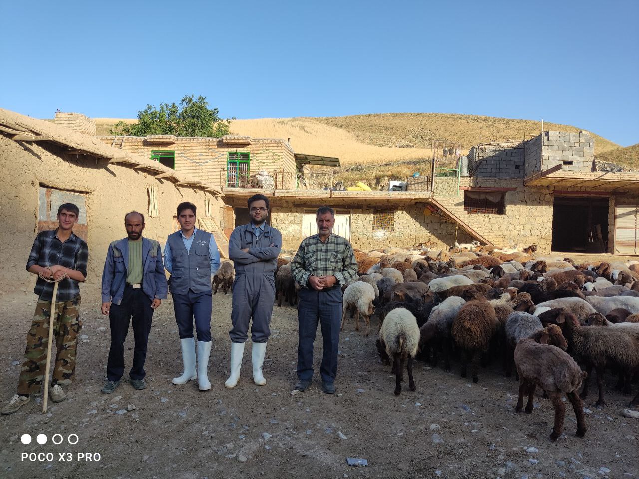 شبکه دامپزشکی شهرستان درگز