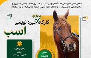 کارگاه مجازی جیرهنویسی اسب
