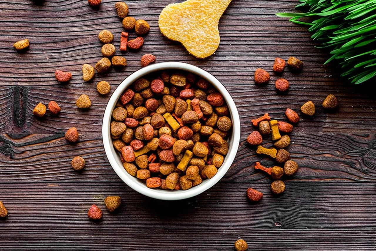 بررسی معنای Chicken meal در غذای خشک و تفاوت آن با Chicken By-Products