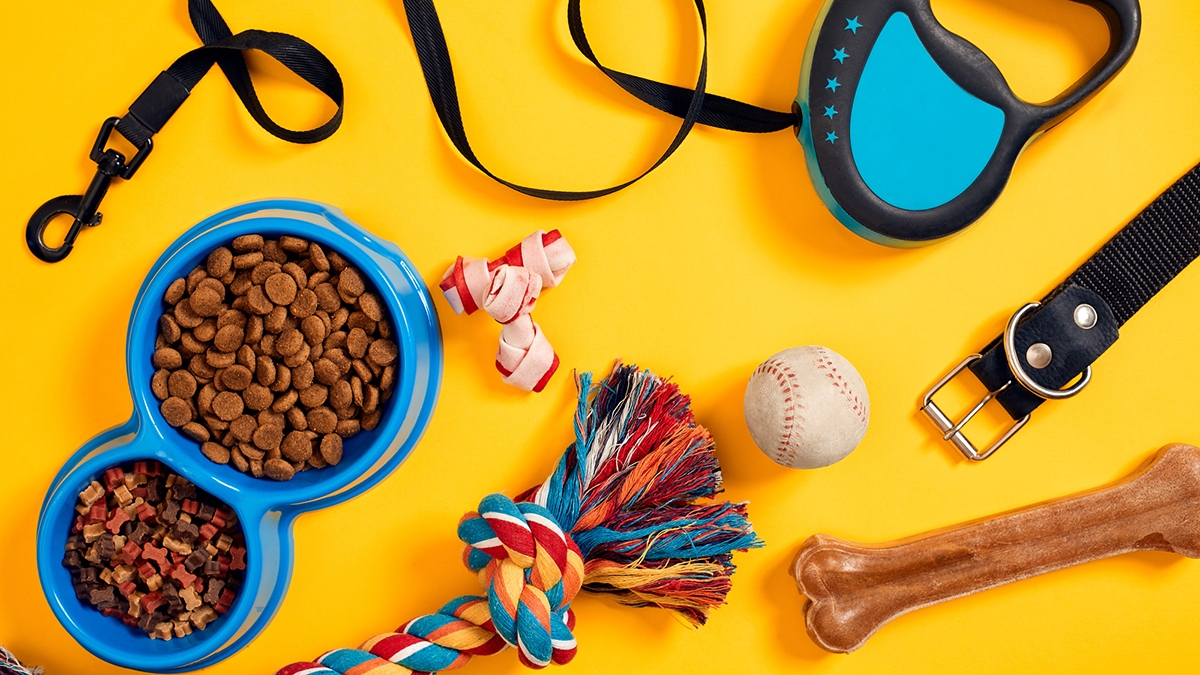 وسایل پرکاربرد و ضروری برای سگ (راهنمای خرید از پت شاپ)