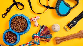 وسایل پرکاربرد و ضروری برای سگ (راهنمای خرید از پت شاپ)