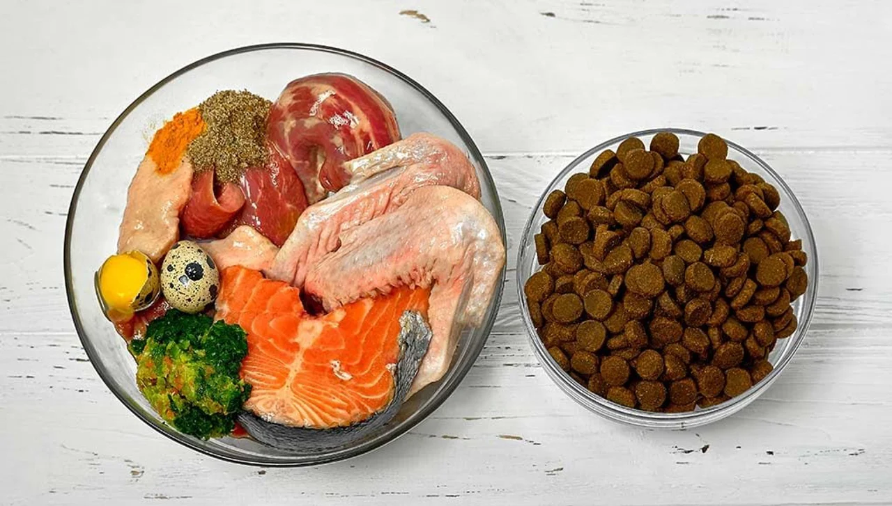 چرا صاحبان سگ و گربه، غذای انسانی را به غذای خشک اضافه میکنند؟ (+تاریخچهی ایجاد غذای خشک)