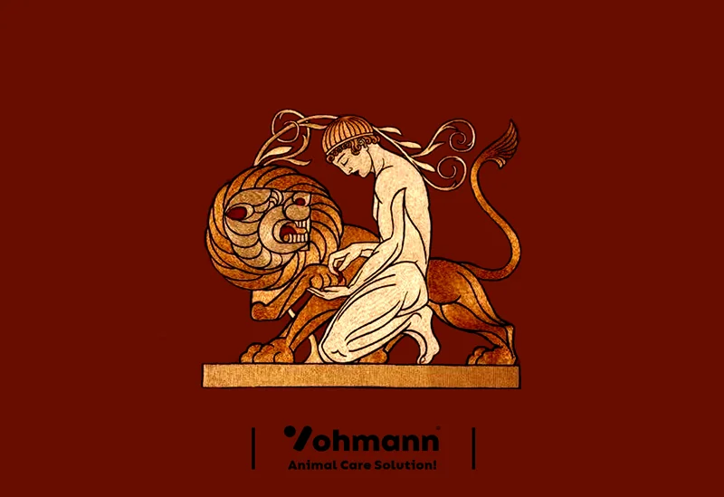 راهنمای کنکور تجربی: درمورد رشته دکترای دامپزشکی و دامپزشک شدن چه نکاتی را باید بدانیم؟ (بخش ۲)