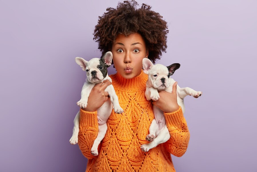 چگونه صاحب خوبی برای حیوانتان باشید؟