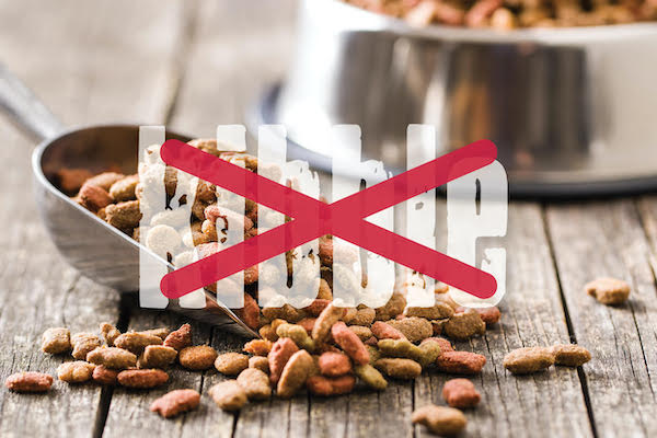 بررسی کامل مضرات استفاده از غذای خشک به عنوان غذای اصلی