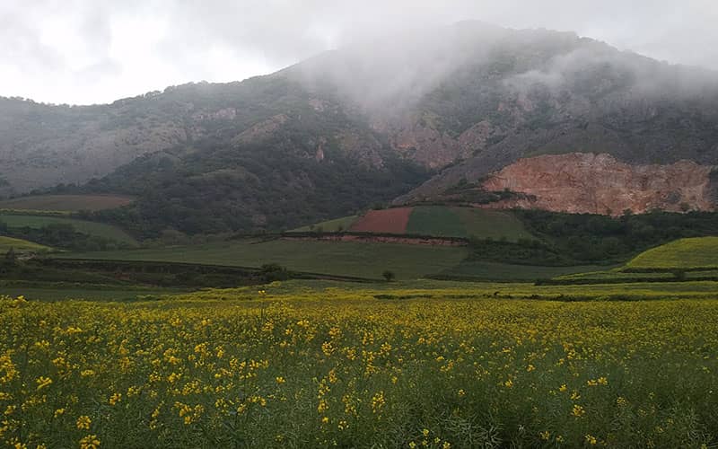 [دیدنی‌ها] ایران زیبا‌: قوچ اوریال در زمستان پارک‌ملّی گلستان!