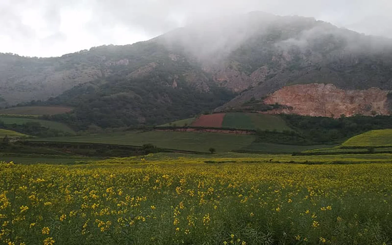 [دیدنی‌ها] ایران زیبا‌: قوچ اوریال در زمستان پارک‌ملّی گلستان!