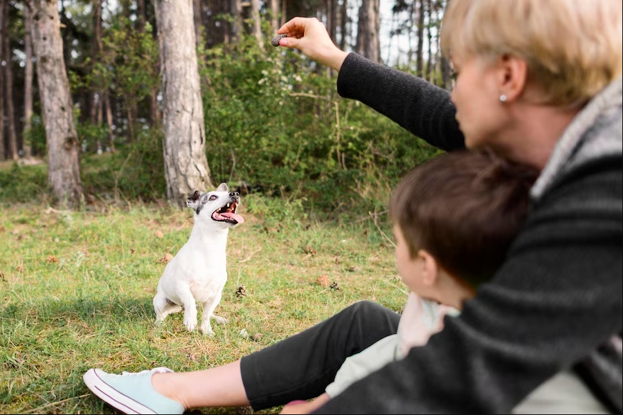 نکات تربیتی اولیه توله سگ