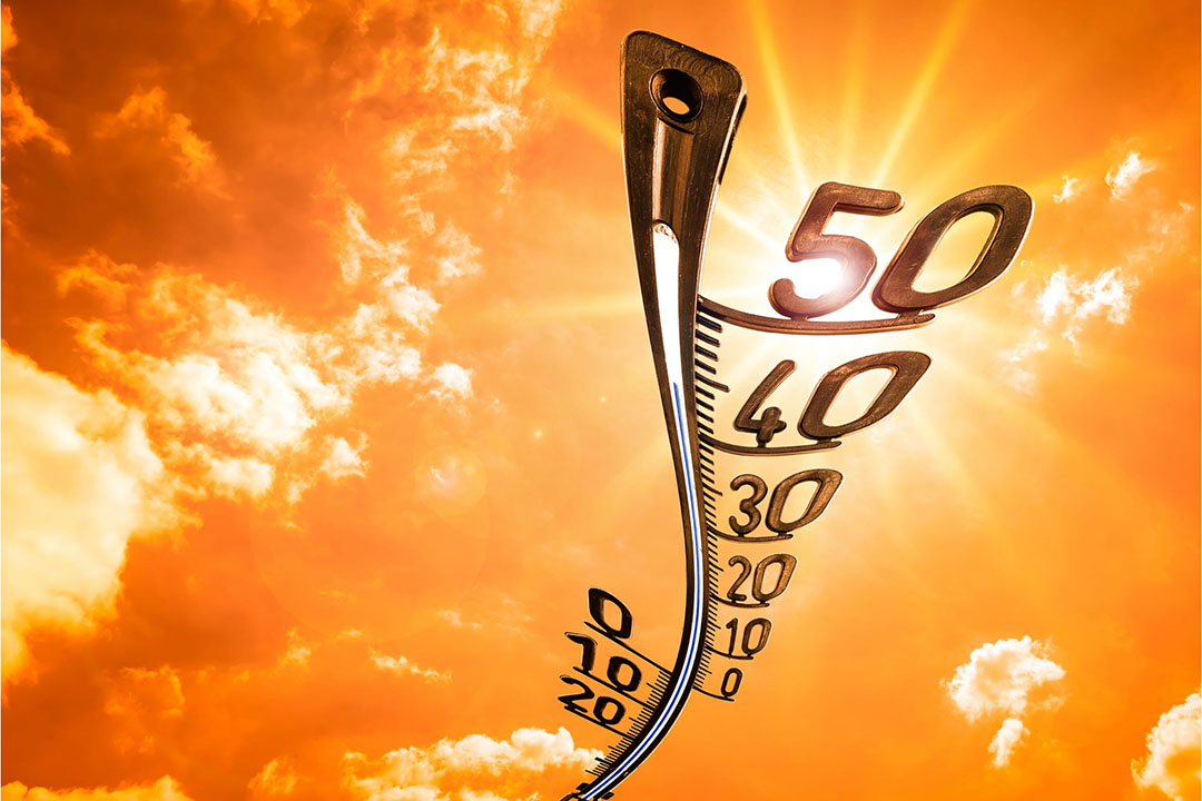 آیا نسبت به تجربه تنش گرمایی گاو‌هایتان حساس هستید؟