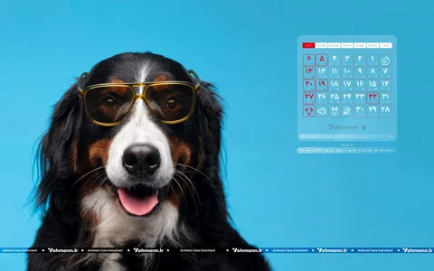 دانلود تقویم بهمن ماه ۱۴۰۲، مناسب گوشی همراه و کامپیوتر شخصی