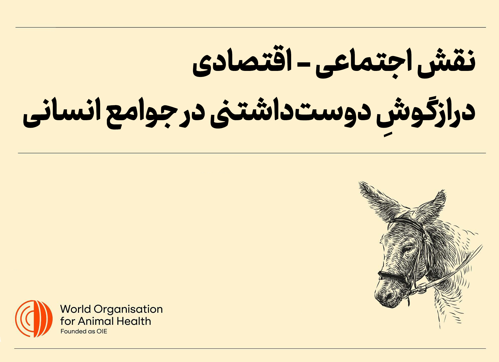 با اثرات اجتماعی اقتصادی درازگوش، الاغ یا هر آنچه به این حیوان دوست‌داشتنی می‌گویید آشنا شویم
