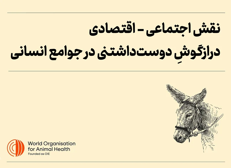 با اثرات اجتماعی اقتصادی درازگوش، الاغ یا هر آنچه به این حیوان دوستداشتنی میگویید آشنا شویم