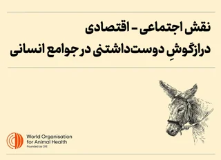 با اثرات اجتماعی اقتصادی درازگوش، الاغ یا هر آنچه به این حیوان دوستداشتنی میگویید آشنا شویم