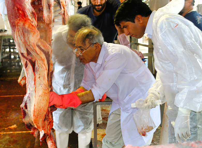 روح بزرگ‌مرد پزشکی حیوانات در ایران به آسمان‌ها شتافت؛ با پروفسور تقی تقی‌پور بازرگانی چقدر آشنا هستید؟