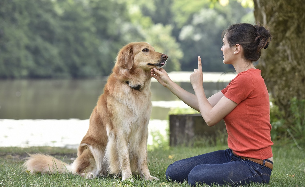 نکات مهم در انتخاب اسم سگ و نحوه آموزش اسم سگ به خودش