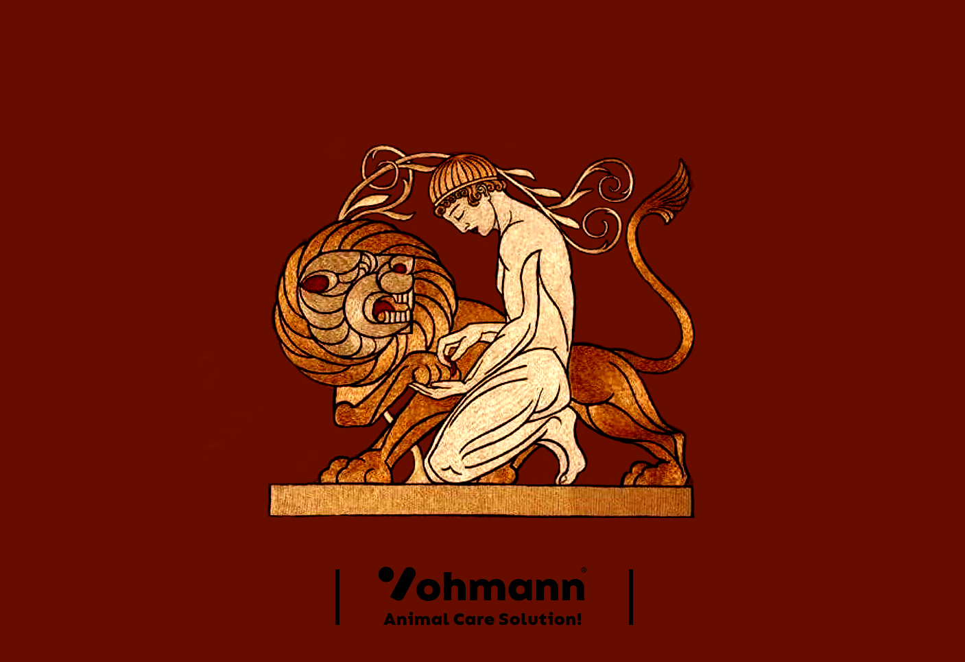 راهنمای کنکور تجربی: درمورد رشته دکترای دامپزشکی و دامپزشک چه نکاتی را باید بدانیم؟ (بخش ۱)