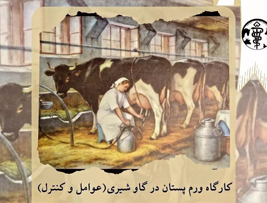 [ویژه دامپزشک] وبینار ورم پستان در گاو شیری، عوامل و کنترل