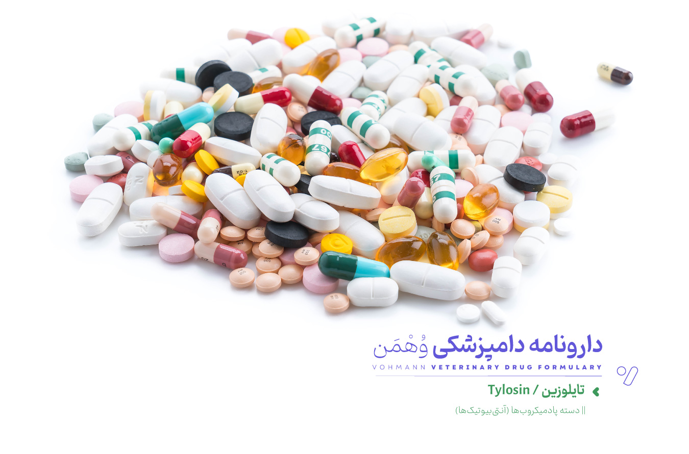 معرفی کامل داروی پادمیکروبی تایلوزین، کاربرد‌ها و روش مصرف