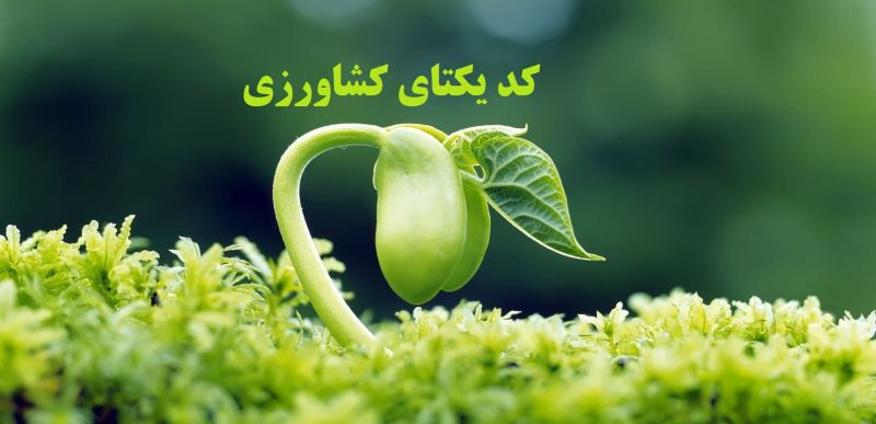 شناسه یکتای کشاورزی، کد یکتای دامپزشکی، همه چیزی که باید بدانید!