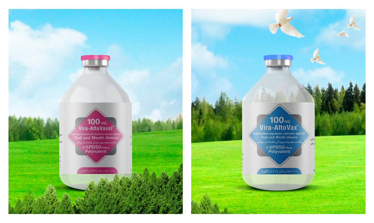 ایران، یکی از چهار کشور تولید‌کننده واکسن تب برفکی