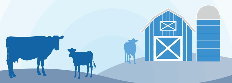 روز جهانی شیر، درمورد غذای طبیعی پستان‌داران چه می‌دانید؟