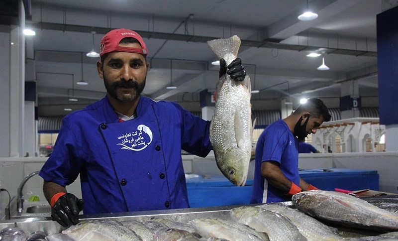 سرانه سالانه مصرف آبزیان در کشور فقط ۱۳.۸ کیلوگرم!