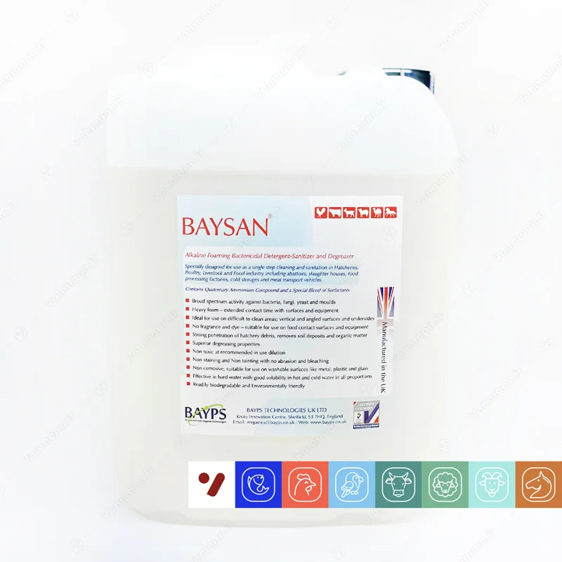 محلول ضدعفونی بایسان (Baysan) بایپس - حجم پنج لیتر