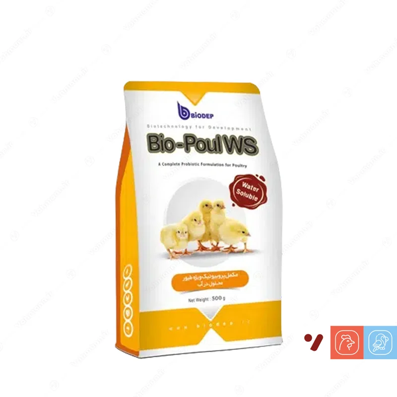 پودر پروبیوتیک بیوپول (Biopoul WS) بیودپ - بسته ۵۰۰ گرمی